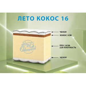 "Лето кокос 16"