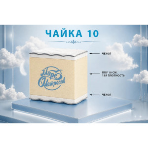 "Чайка 10"